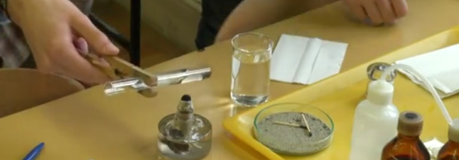 Vadicskó Judit: A sejtet felépítő kémiai anyagok és jellemző reakcióik