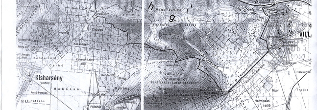 Pesti Miklósné: Komplex biológiai terepgyakorlat