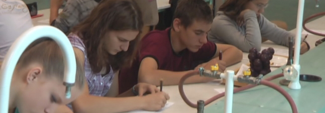 Dr. Halblender Anna: Halogénelemek